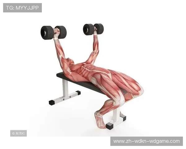 适合糖尿病患者的低强度健身器材推荐