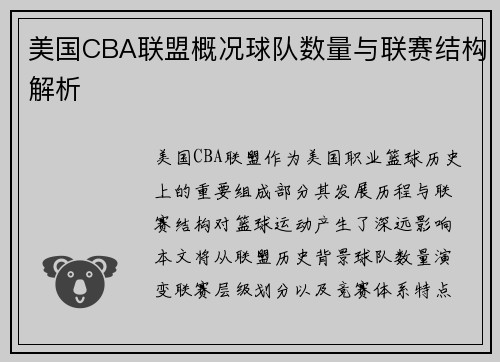 美国CBA联盟概况球队数量与联赛结构解析
