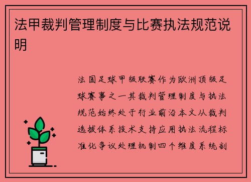 法甲裁判管理制度与比赛执法规范说明